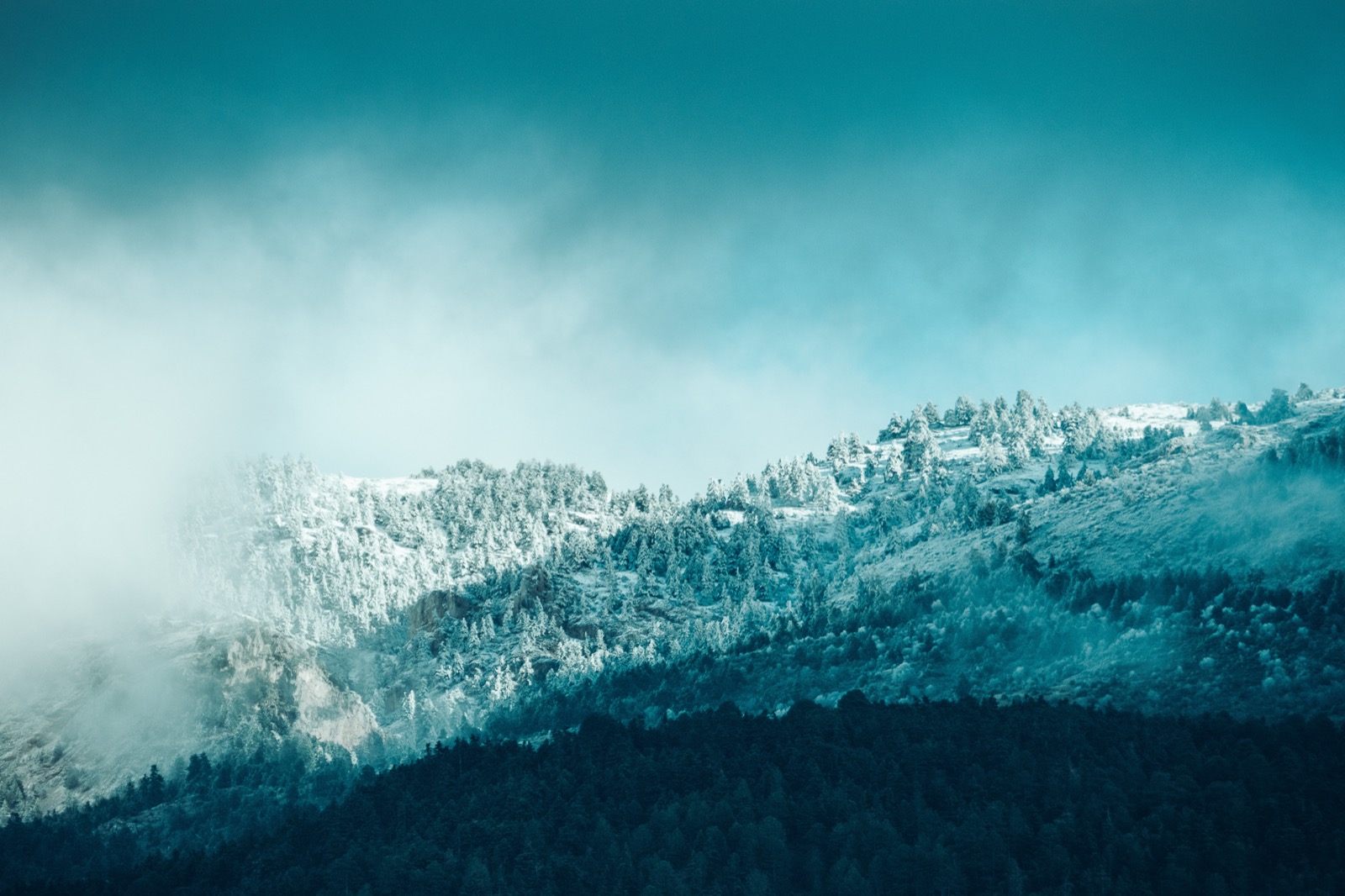 Hill landscape